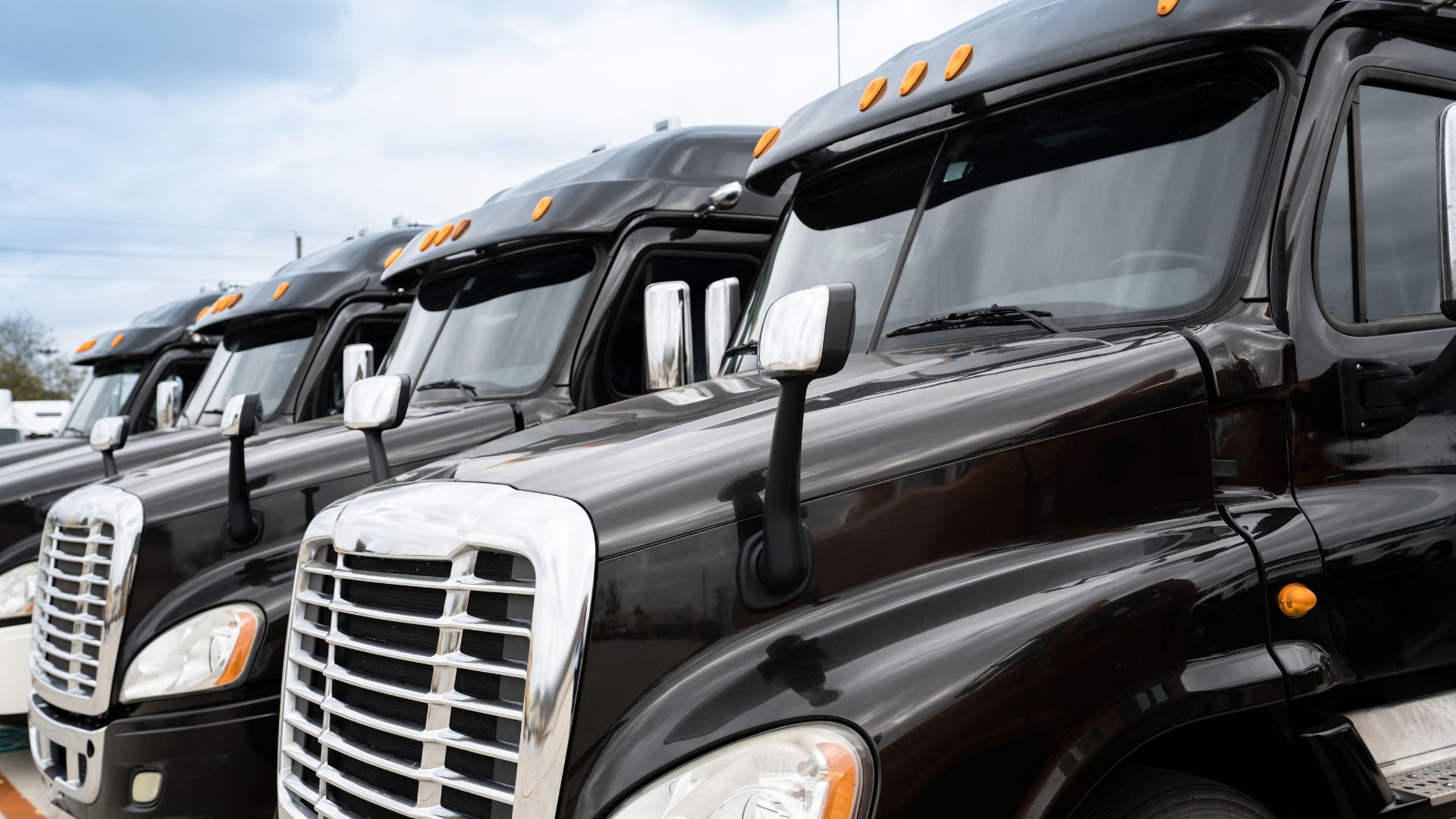 Row of black semi-trucks with chrome grilles parked in a lot