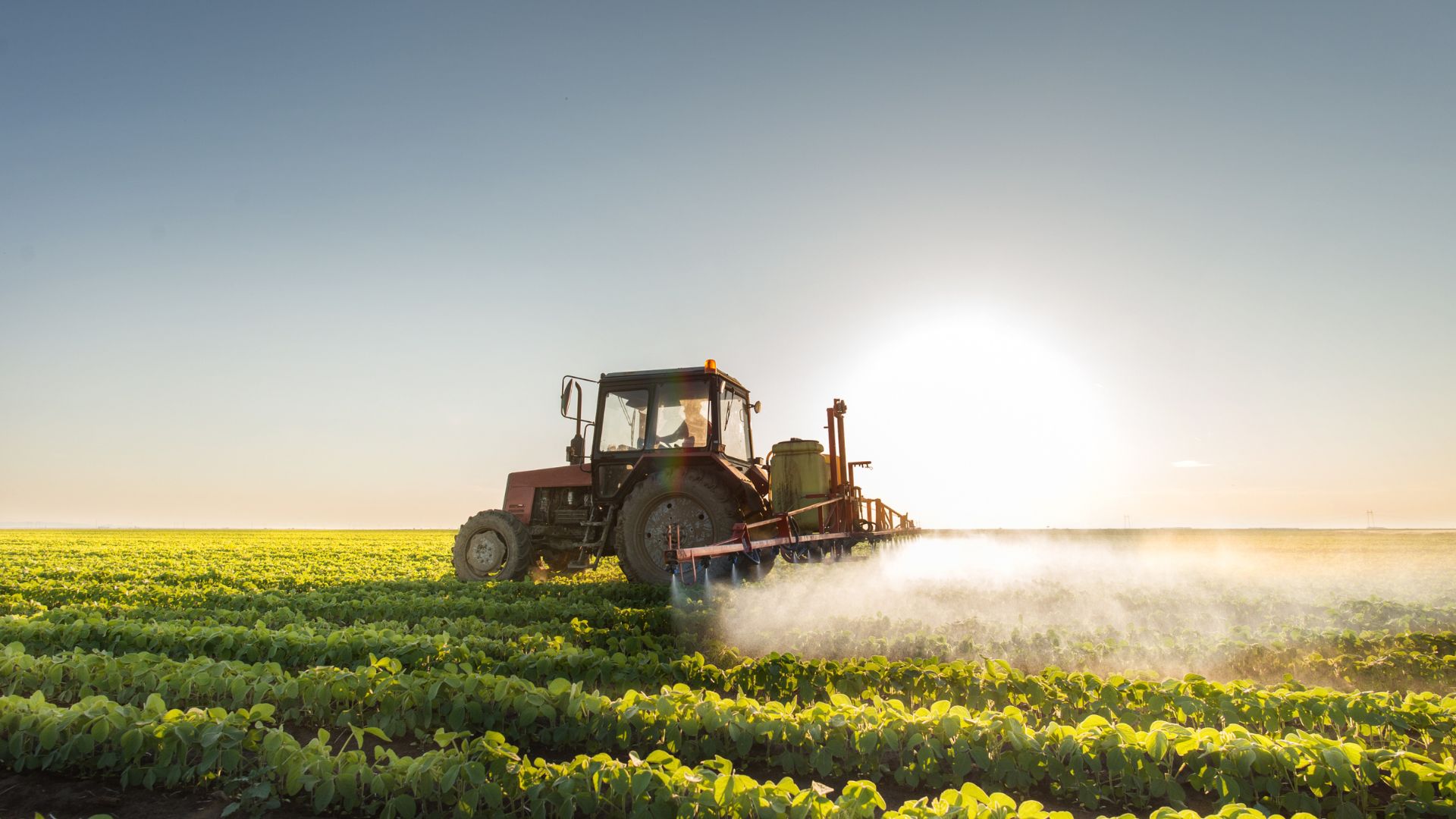 Tractor spraying pesticides on green crop field at sunrise